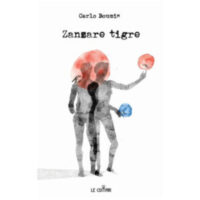 "Zanzare tigre" di Carlo Boumis
